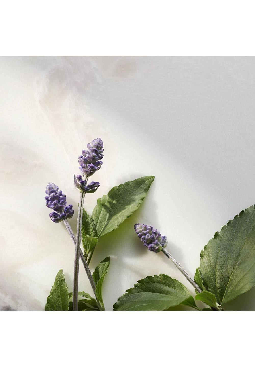 RITUALS® THE RITUAL OF NAMASTE Bakuchiol Natural Booster Neueste Stile
